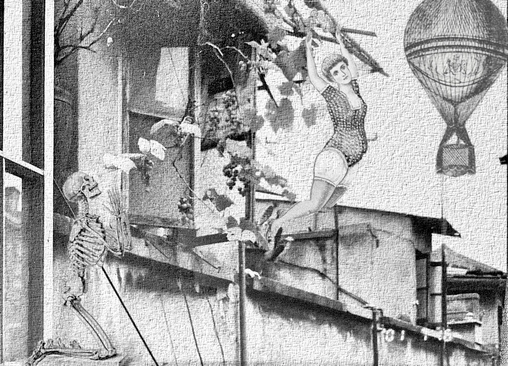 Fly, my dear, but beware of gravity.