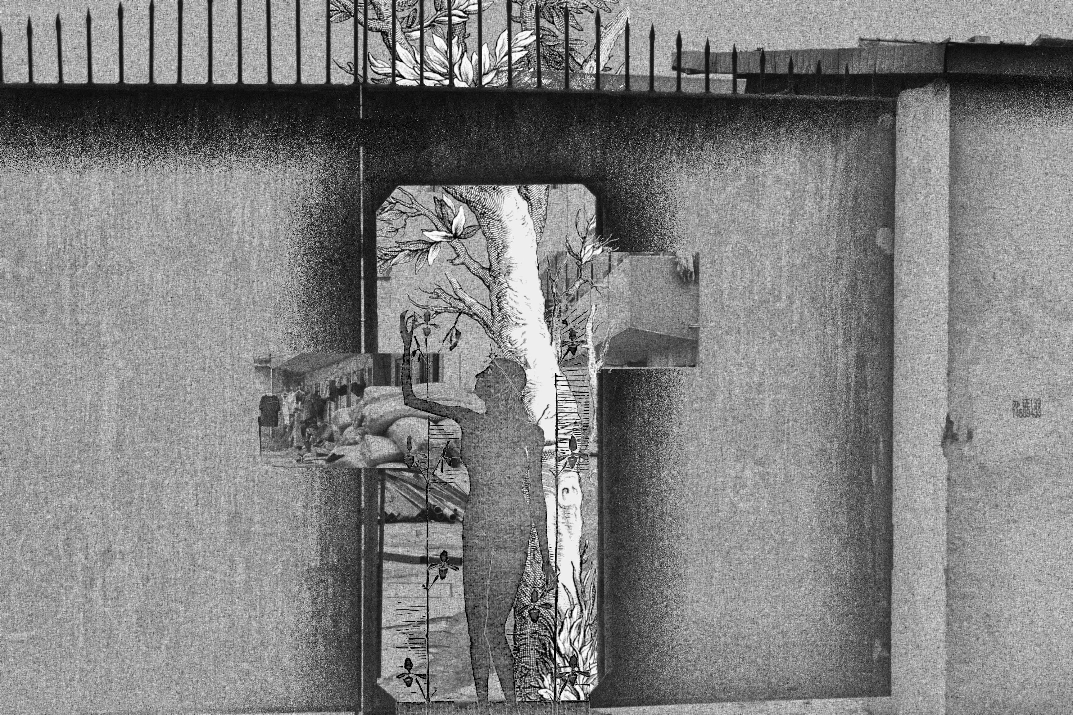 From this earth, I grow.